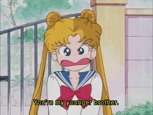 sailor moon brother