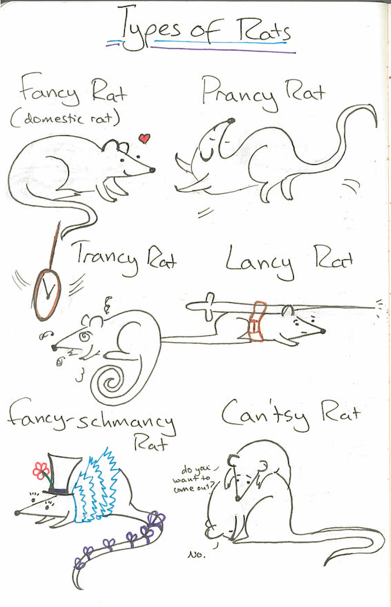 2017-02-17-types of rats
