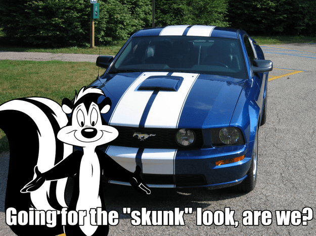 mustang skunk look featuring le pew.png