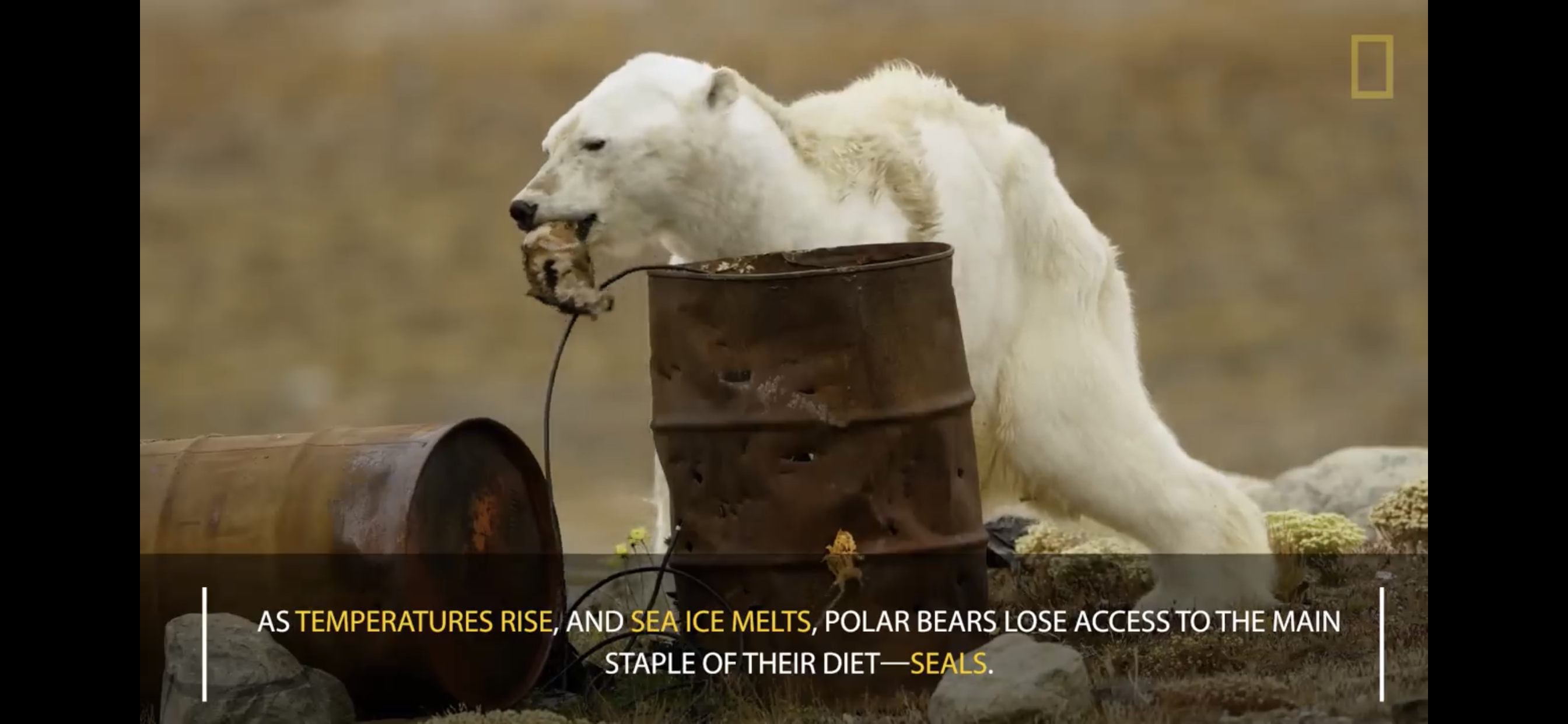 17B6F484-89C2-4A3D-956D-1F6AB43143ED